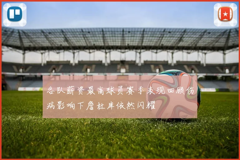 各队薪资最高球员赛季表现回顾伤病影响下詹杜库依然闪耀